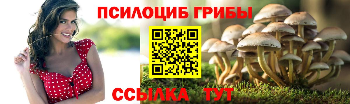 Вейп ТГК  Вход с VPN  Гашиш  Нефтекумск  Метадон  Меф кристаллы  АМФ   ГАШ  КОКАИН 
